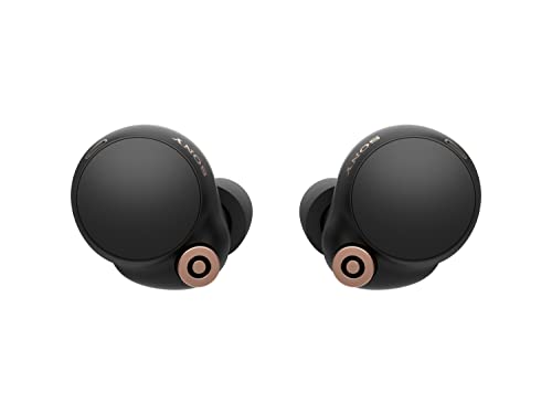 Sony WF-1000XM4 - Auriculares inalámbricos con cancelación de Ruido con Alexa Integrado, Color Negro